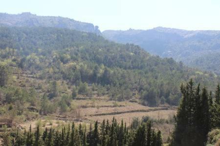 Apartament A Capafonts - "Ribatell" Bagian luar foto